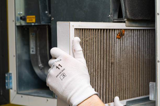 Best Commercial Air Duct Cleaning  in Central Park, WA