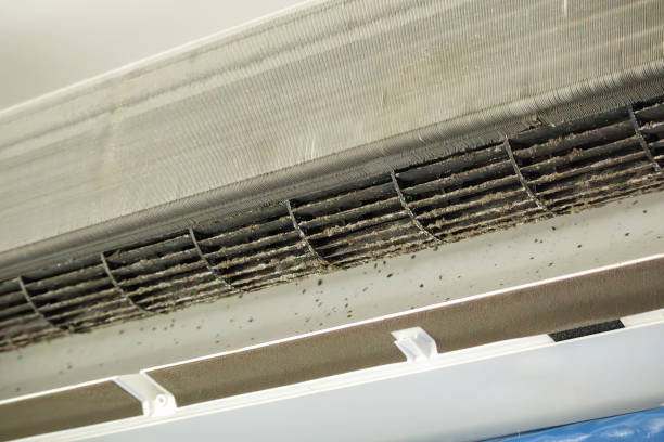 Ductwork Cleaning Services in Central Park, WA